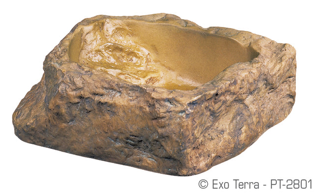 Water Dish - Small