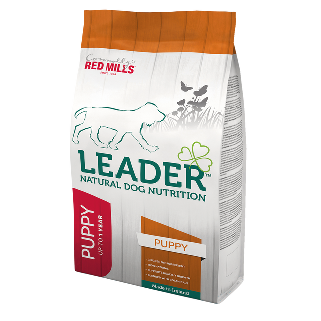 Leader Puppy Medium Breed