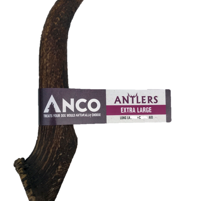 Anco Antler Dental Chew X-Large