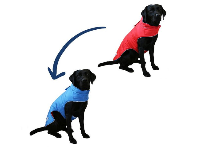 Viva Reversible Dog Coat Red/Blue