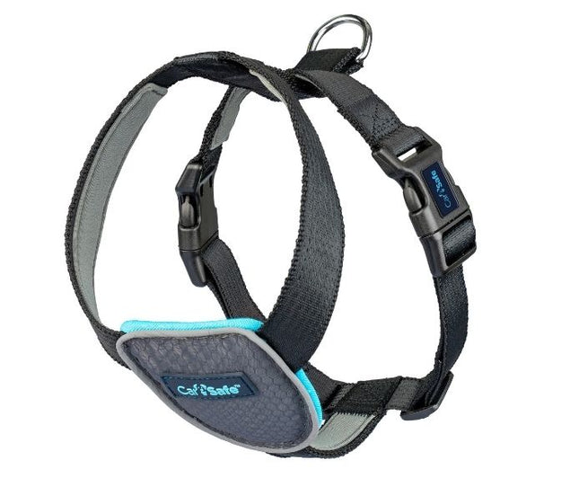Carsafe Dog Essentials Travel Harness Black