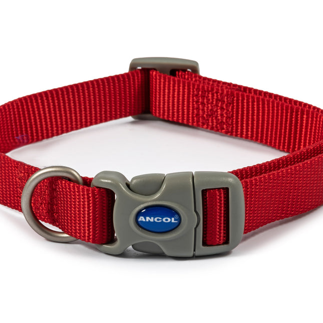 Viva Nylon Adjustable Dog Collar Red