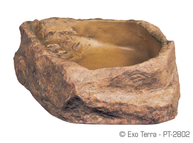 Water Dish - Medium