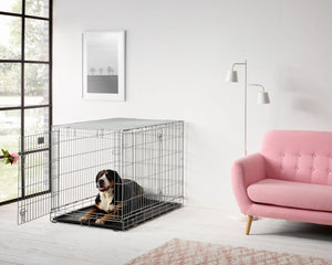 Dog Crates, Kennels, Containment & Travel