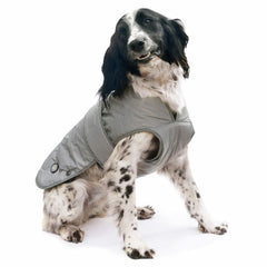Dog Rainwear