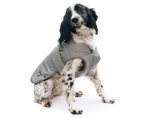 Dog Rainwear