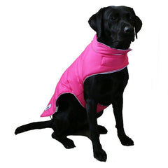Dog Coats & Clothing