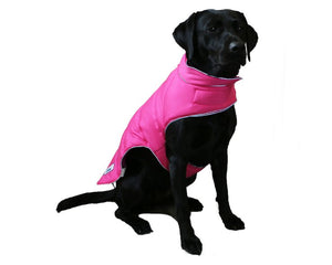 Dog Coats & Clothing