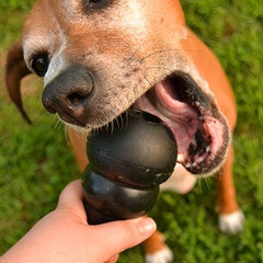 Tough Dog Toys