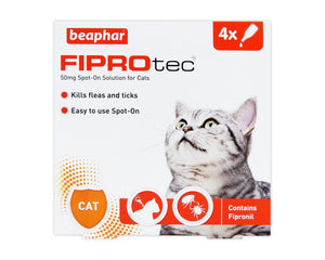 Cat Health & Wellbeing