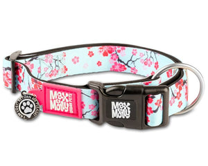 Dog Leads, Collars & Harnesses