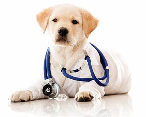 Puppy Health Products