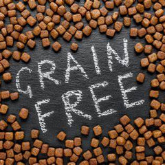 Grain Free Dog Food & Puppy Food