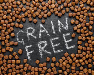 Grain Free Dog Food & Puppy Food