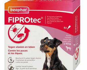 Dog Flea Treatment