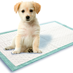 Puppy Training Products