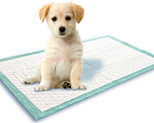 Puppy Training Products