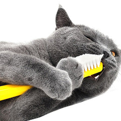 Cat Dental Care