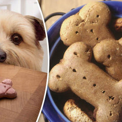 Dog Biscuits