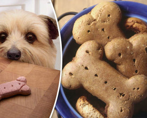 Dog Biscuits