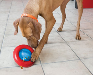 4pk Rubber Dog Balls  Bouncy Puppy Pet Solid Hard Play Ball Fun