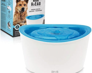 Dog Water Fountains