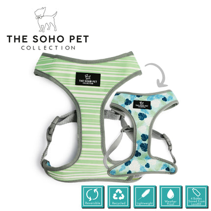 Two dog harnesses from The Soho Pet Collection on a white background