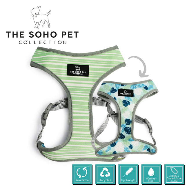 Two dog harnesses from The Soho Pet Collection on a white background