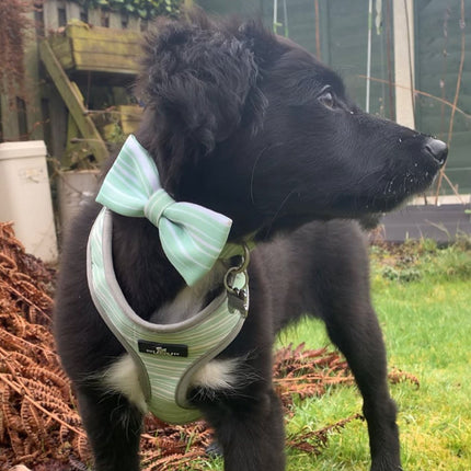 Soho Pet Reversible Harness Stripes/Leaf