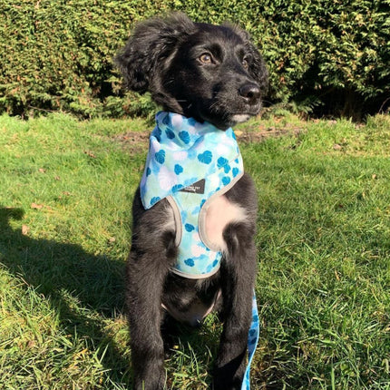 Soho Pet Reversible Harness Stripes/Leaf