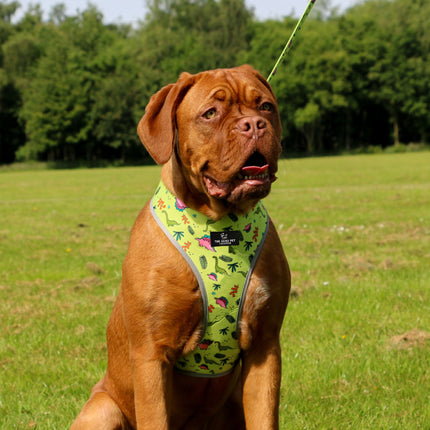 Soho Pet Reversible Harness Dinosaur/Ice Cream