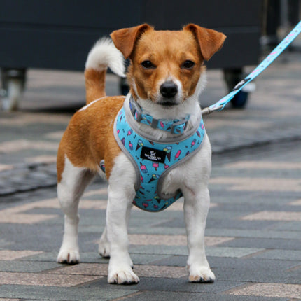 Soho Pet Reversible Harness Dinosaur/Ice Cream