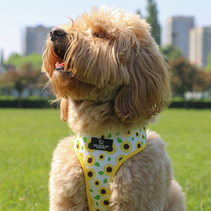 Soho Pet Reversible Harness Sunflowers/Yellow Check