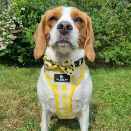 Soho Pet Reversible Harness Sunflowers/Yellow Check
