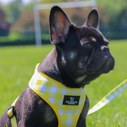 Soho Pet Reversible Harness Sunflowers/Yellow Check