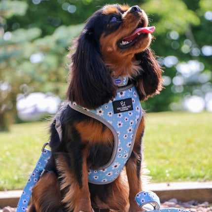 Soho Pet Reversible Harness Daisy/Polka Dot