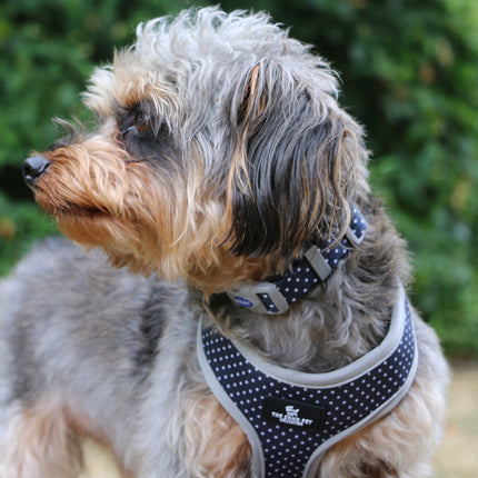 Soho Pet Reversible Harness Daisy/Polka Dot