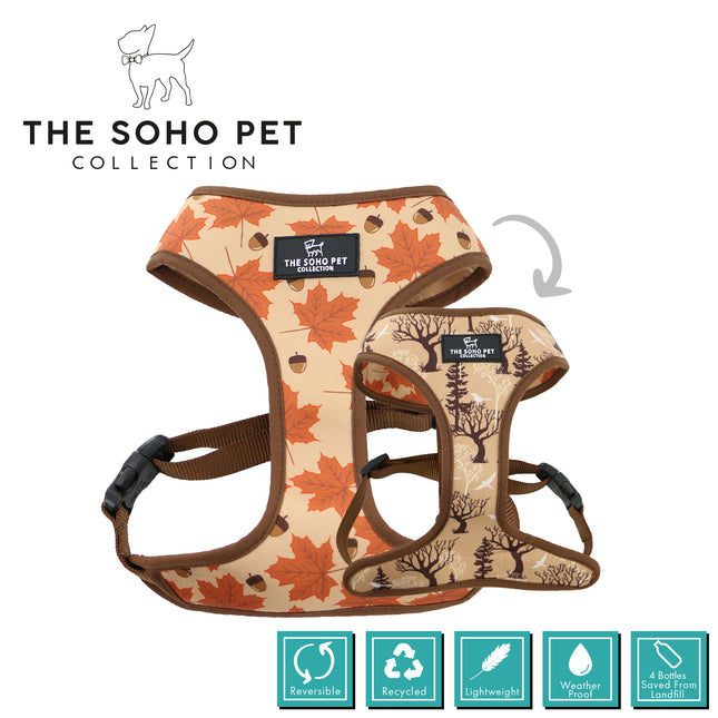 Dog harness with autumn leaf pattern from The Soho Pet Collection on a white background.
