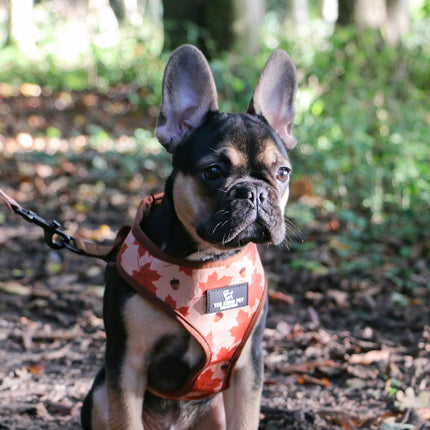 Soho Pet Reversible Harness Maple Leaf/Woodland