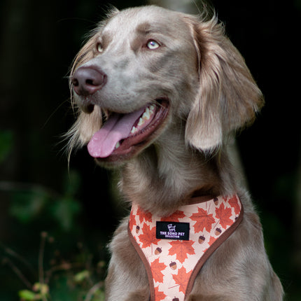 Soho Pet Reversible Harness Maple Leaf/Woodland