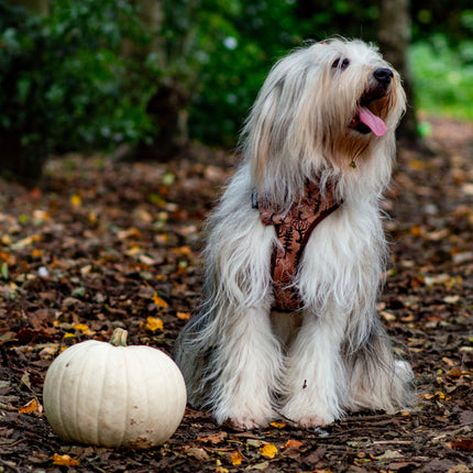 Soho Pet Reversible Harness Maple Leaf/Woodland