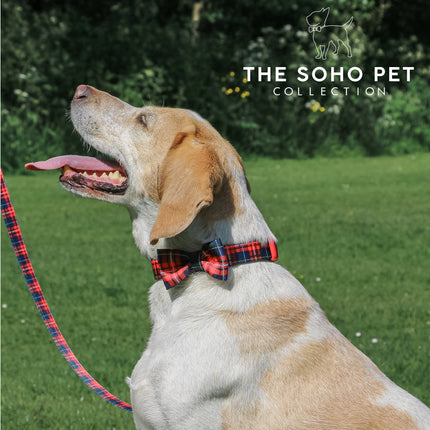 Soho Pet Tartan Adjustable Collar