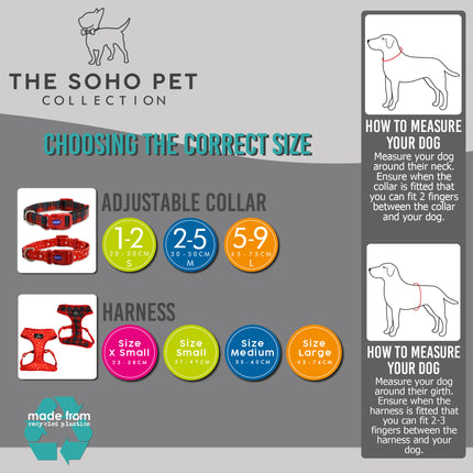 Soho Pet Stars Adjustable Collar