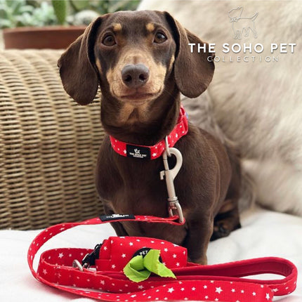Soho Pet Stars Adjustable Collar