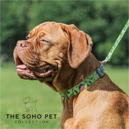 Soho Pet Dinosaur Adjustable Collar