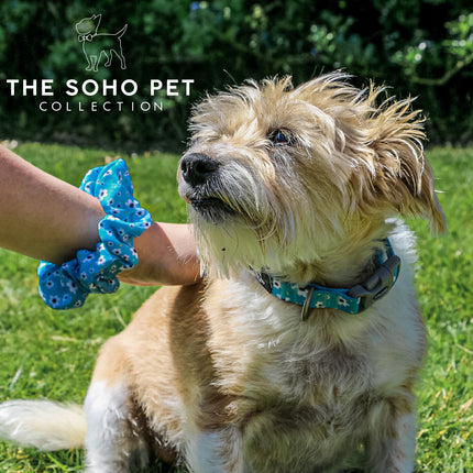 Soho Pet Daisy Lead 100 x 19cm
