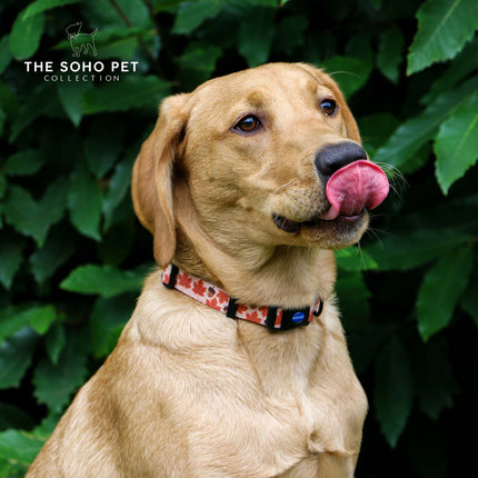 Soho Pet Maple Leaf Adjustable Collar