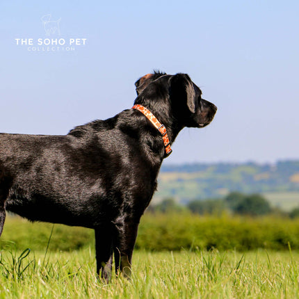 Soho Pet Maple Leaf Adjustable Collar