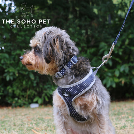 Soho Pet Polka Dot Adjustable Collar