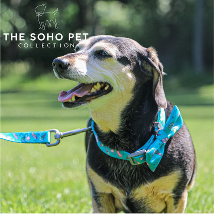 Soho Pet Ice Cream Lead 100 x 19cm